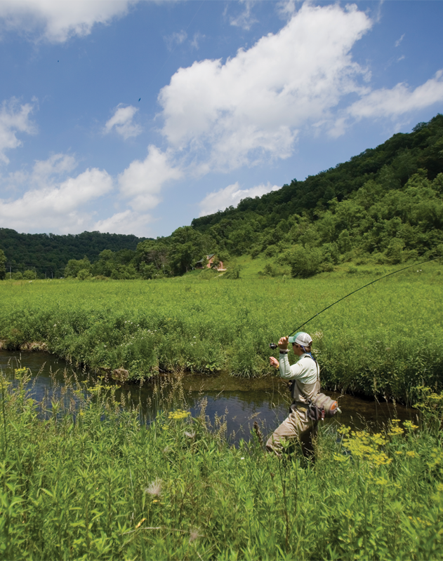 fly fisherman in the Driftless, photo credit: Peter Cozad