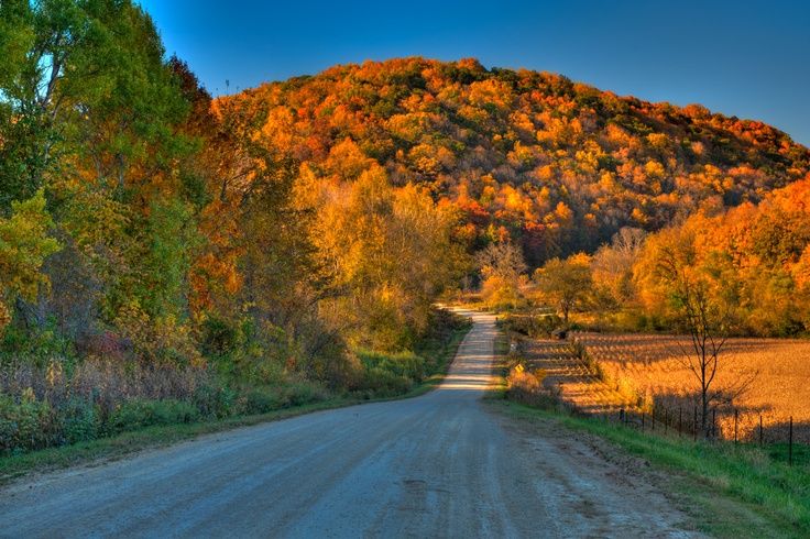 fall in Viroqua