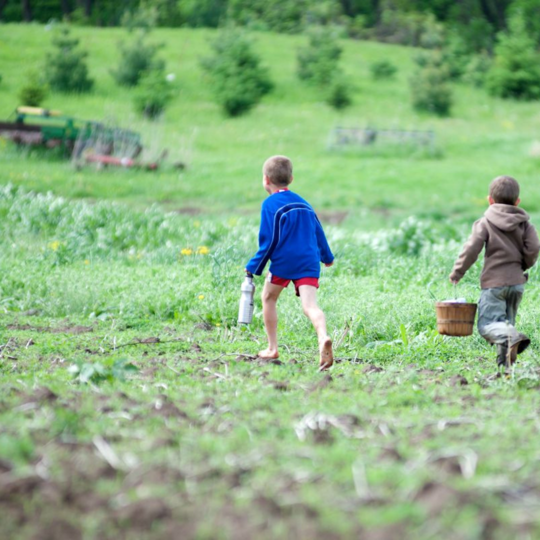 Children running in a field in Viroqua
