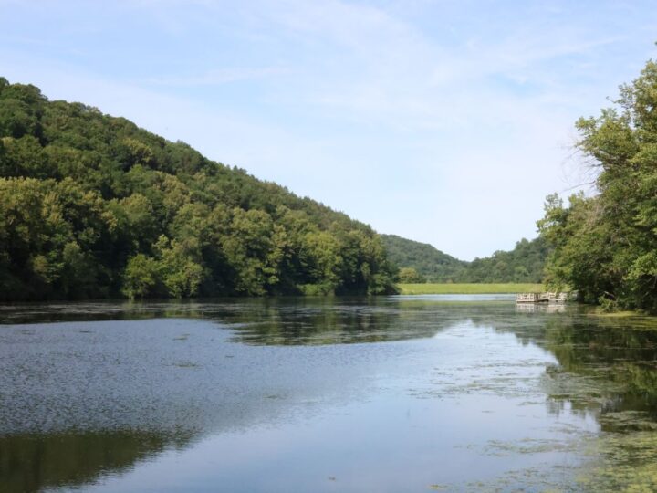 Summer Outdoor Exploration in Viroqua, Wisconsin: Hiking, Fishing, Biking & Foraging in the Driftless Region